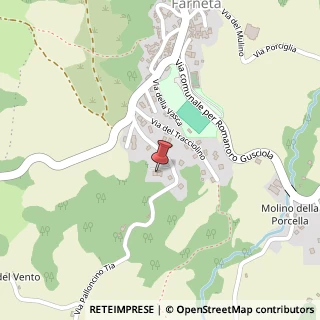 Mappa Via Palloncino-tia, 2, 41045 Montefiorino, Modena (Emilia Romagna)