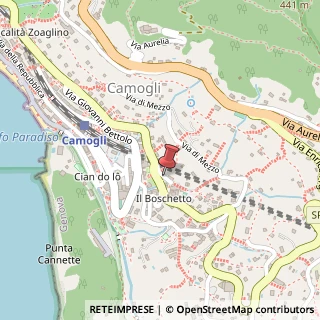 Mappa Via Angela Schiaffino, 12, 16032 Camogli, Genova (Liguria)