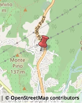 Via Monte Pino, 9,17011Albisola Superiore