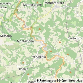 Mappa Zocca