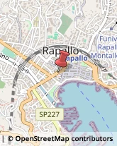 Galleria Montallegro, 24,16035Rapallo