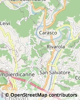 Aziende Agricole Carasco,12045Genova