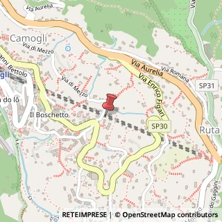Mappa Via enrico figari 31, 16032 Camogli, Genova (Liguria)