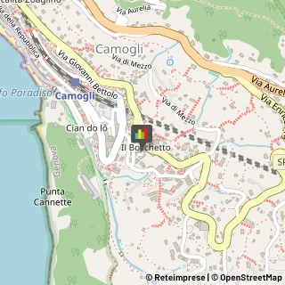 Serramenti ed Infissi, Portoni, Cancelli Camogli,16032Genova