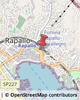 Via Pellerano Murtula, 1,16035Rapallo