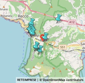 Mappa Via Maggiolo - Ruta, 16032 Camogli GE, Italia (1.30333)