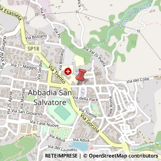 Mappa Via Cavour, 82, 53021 Piancastagnaio, Siena (Toscana)