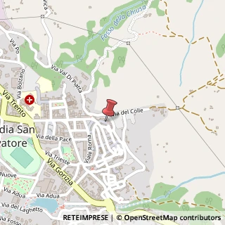 Mappa Via Giuseppe Mazzini, 13, 53021 Piancastagnaio, Siena (Toscana)