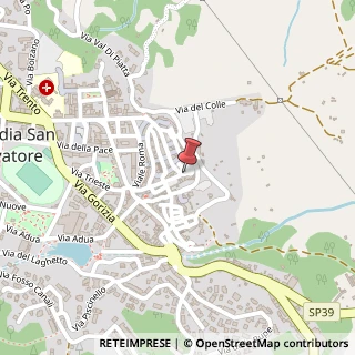 Mappa Via Sant'Angelo, 42, 53021 Piancastagnaio, Siena (Toscana)