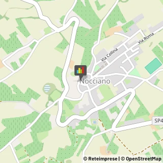 Osterie e Trattorie Nocciano,65010Pescara