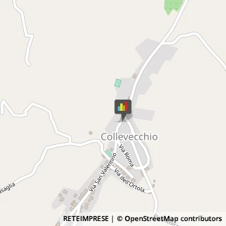 Autotrasporti Collevecchio,02042Rieti