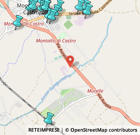 Mappa Località Sanguinaro, 01014 Montalto di Castro VT, Italia (1.739)