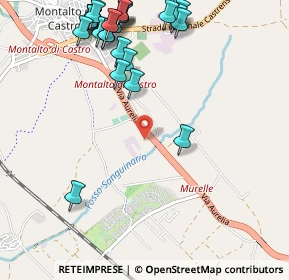 Mappa Località Sanguinaro, 01014 Montalto di Castro VT, Italia (1.42963)