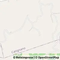Peta Catignano