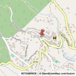 Mappa Piazza Roma, 4, 01030 Carbognano, Viterbo (Lazio)