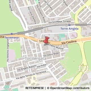 Mappa Via di Tor Vergata, 1, 00133 Roma, Roma (Lazio)
