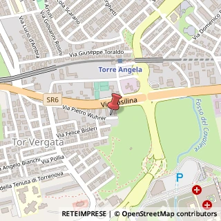 Mappa Via Pietro Wührer, 45, 00133 Roma, Roma (Lazio)