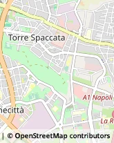 Articoli da Regalo - Dettaglio Roma,00169Roma