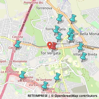 Mappa Via Luigi Oltolina, 00133 Roma RM, Italia (1.22)