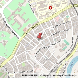 Mappa Via Alessandro Brisse,  19, 00149 Roma, Roma (Lazio)
