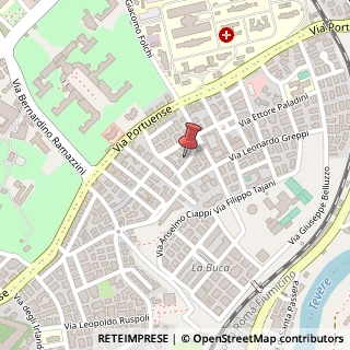 Mappa Via di Vigna Jacobini, 30, 00149 Roma, Roma (Lazio)