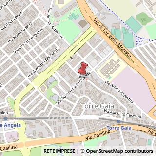 Mappa Via Domenico Parasacchi, 208, 00133 Roma, Roma (Lazio)
