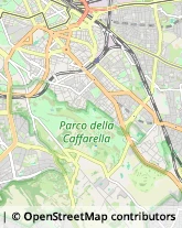 Nettezza Urbana - Servizio Roma,00185Roma