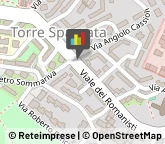 Stazioni di Servizio e Distribuzione Carburanti,00169Roma