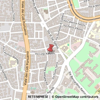 Mappa Via Luigi Ronzoni, 41, 00151 Roma, Roma (Lazio)