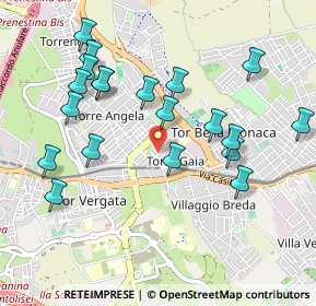 Mappa Via Orazio Placidi, 00133 Roma RM, Italia (1.096)