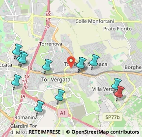 Mappa Via Orazio Placidi, 00133 Roma RM, Italia (2.36333)