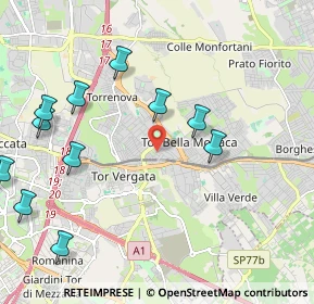 Mappa Via Orazio Placidi, 00133 Roma RM, Italia (2.61455)