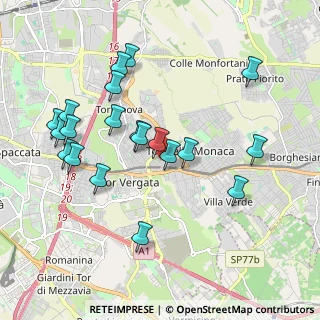 Mappa Via Vico Viganò, 00133 Roma RM, Italia (2.0935)