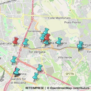 Mappa Via Vico Viganò, 00133 Roma RM, Italia (2.58267)