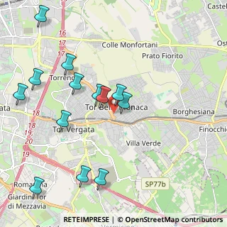Mappa Via Stefano Pittaluga, 00133 Roma RM, Italia (2.42385)