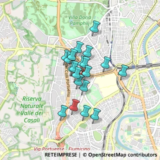 Mappa Via Duchessa di Galliera, 00151 Roma RM, Italia (0.644)