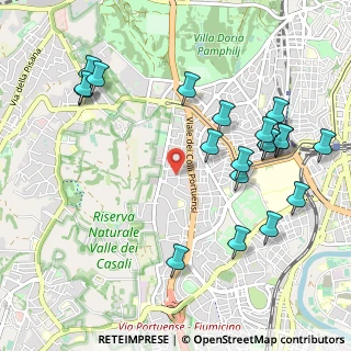 Mappa Via Edoardo Bassini, 00151 Roma RM, Italia (1.244)