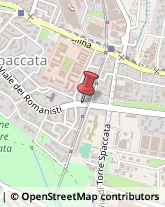 Viale dei Romanisti, 20,00169Roma