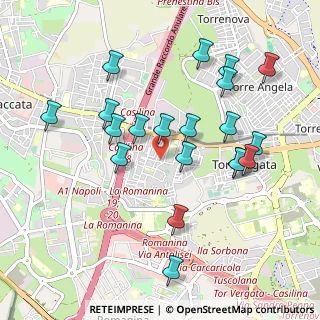 Mappa Via Turino di Sano, 00133 Roma RM, Italia (1.053)