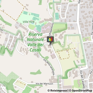 Animali Domestici - Centri Allevamento e Addestramento,00148Roma