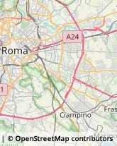 Articoli Sportivi - Dettaglio Roma,00178Roma