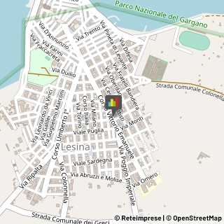 Internet - Provider Lesina,71010Foggia