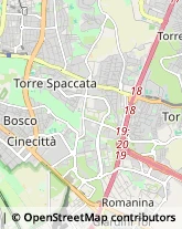 Feste - Organizzazione e Servizi Roma,00133Roma