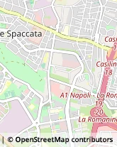 Via di Torrenova, 99,00133Roma