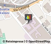 Ecografia e Radiologia - Studi Roma,00133Roma