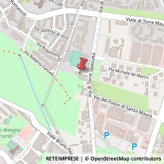 Mappa Via Pietro Tomei, 11, 00169 Roma, Roma (Lazio)
