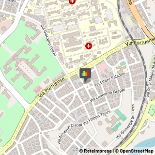 Veterinaria - Ambulatori e Laboratori,00149Roma