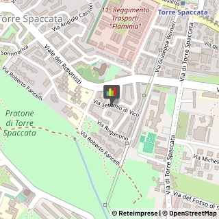 Logopedia,00169Roma