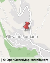 Via 24 Maggio, 62,00035Olevano Romano