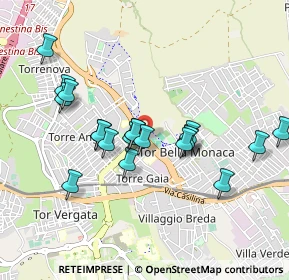 Mappa Tor Bella Monaca, 00030 Monte Porzio Catone RM, Italia (0.9)